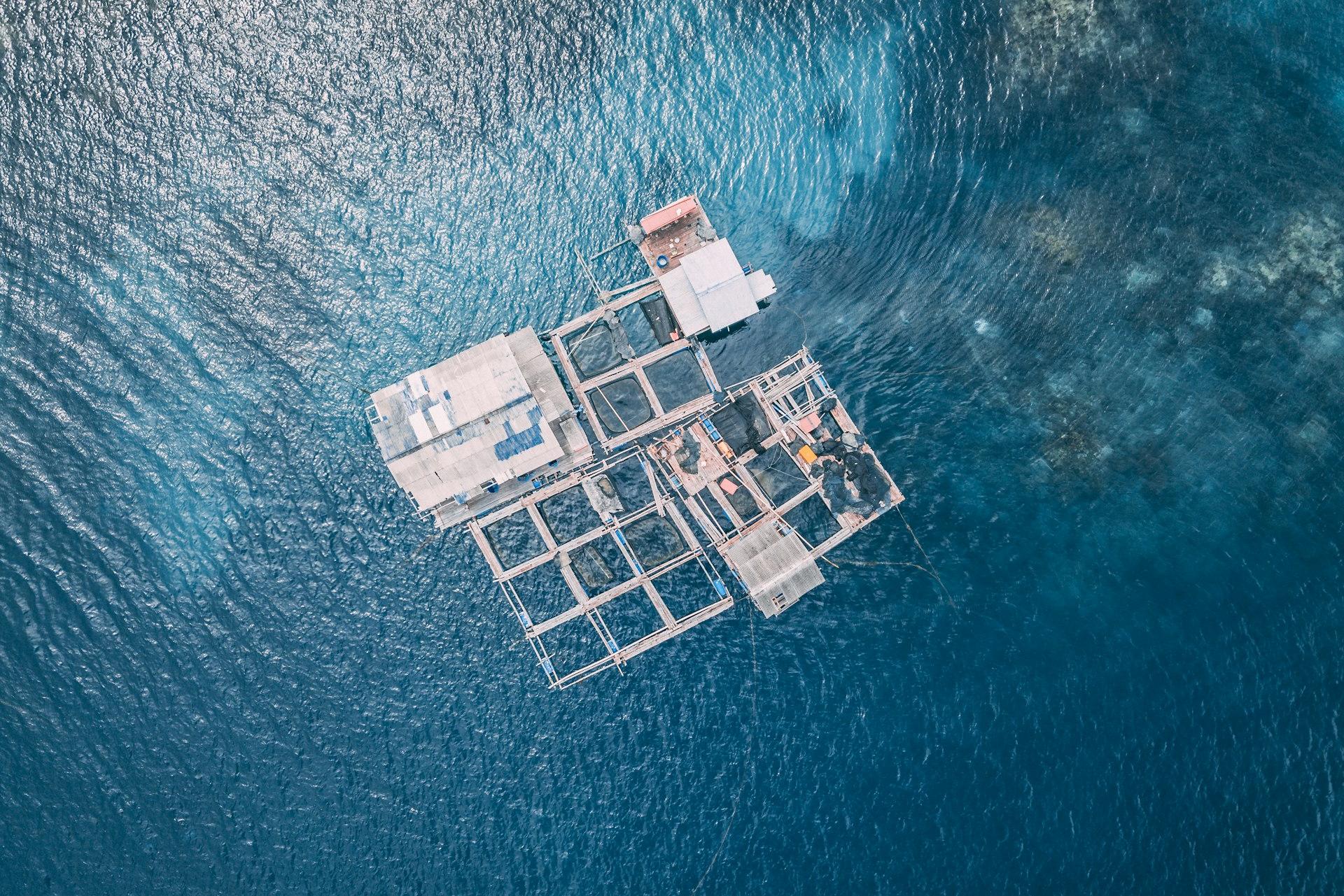 aerial view of house surrounded by water